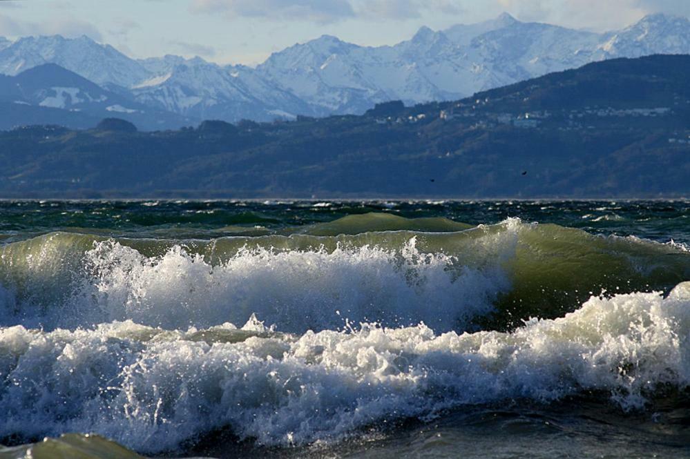 Zum Seglerhafen - Ferienappartement Kressbronn am Bodensee Dış mekan fotoğraf