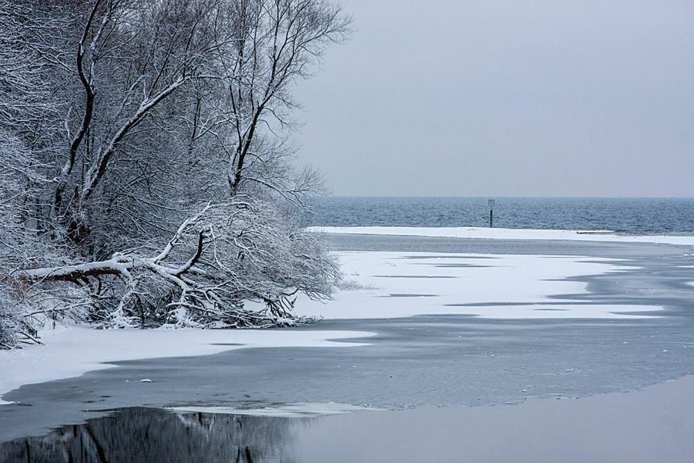 Zum Seglerhafen - Ferienappartement Kressbronn am Bodensee Dış mekan fotoğraf